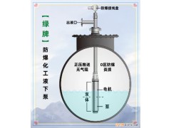 乙醇地下罐专用潜泵0区Ga防爆等级化工液下泵IP68质保5年
